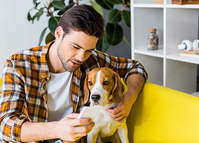 Man and dog looking at phone in home office