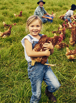Young girl holding chicken on farm