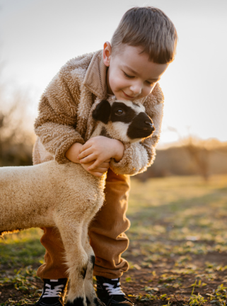 boy hugging sheep