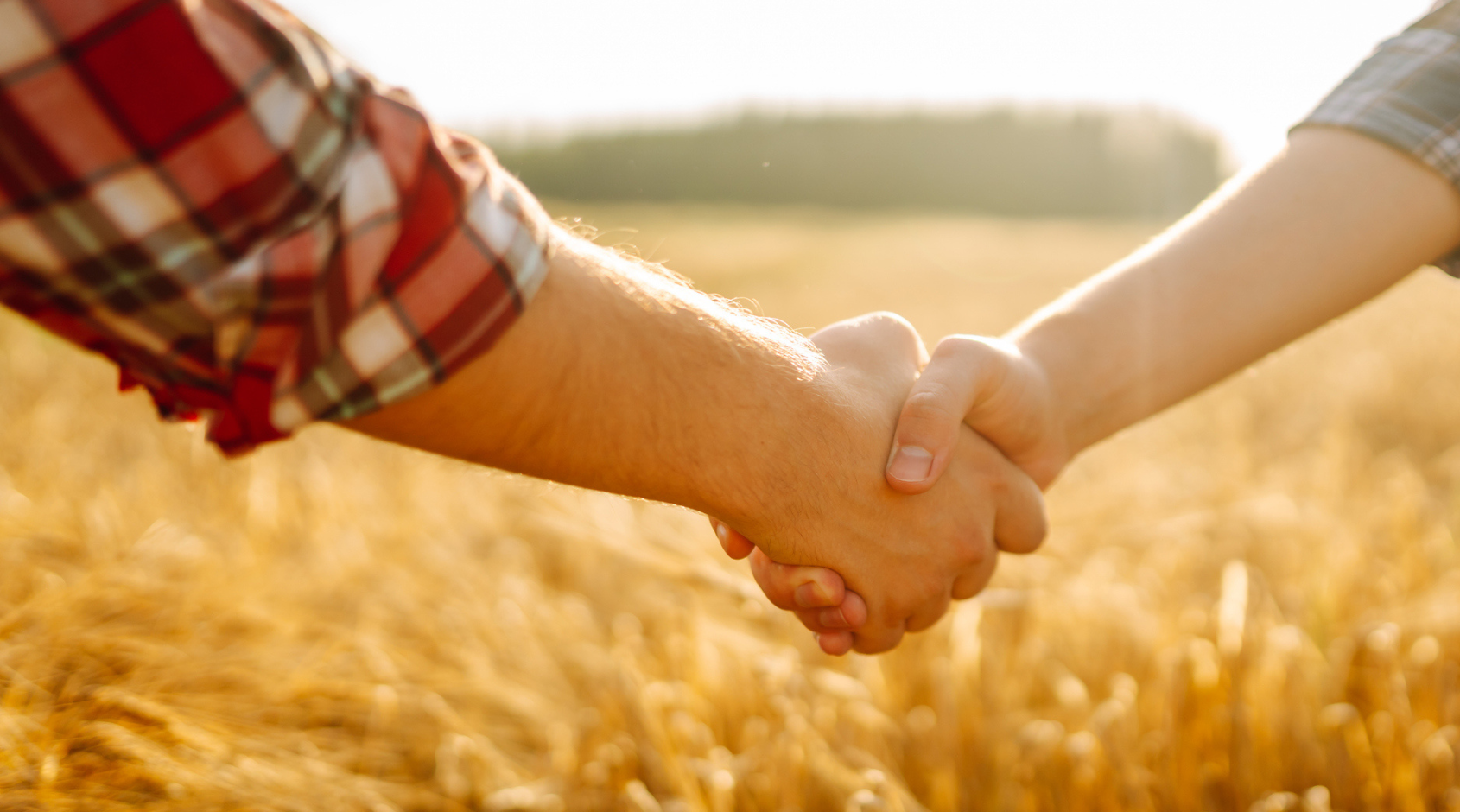 shaking hands in the field