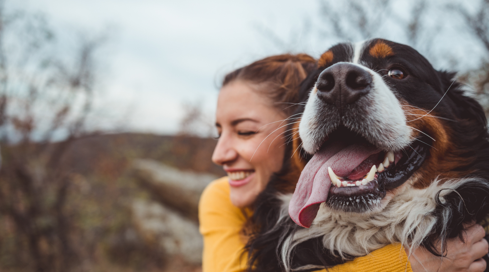girl hugging bernese mountain dog